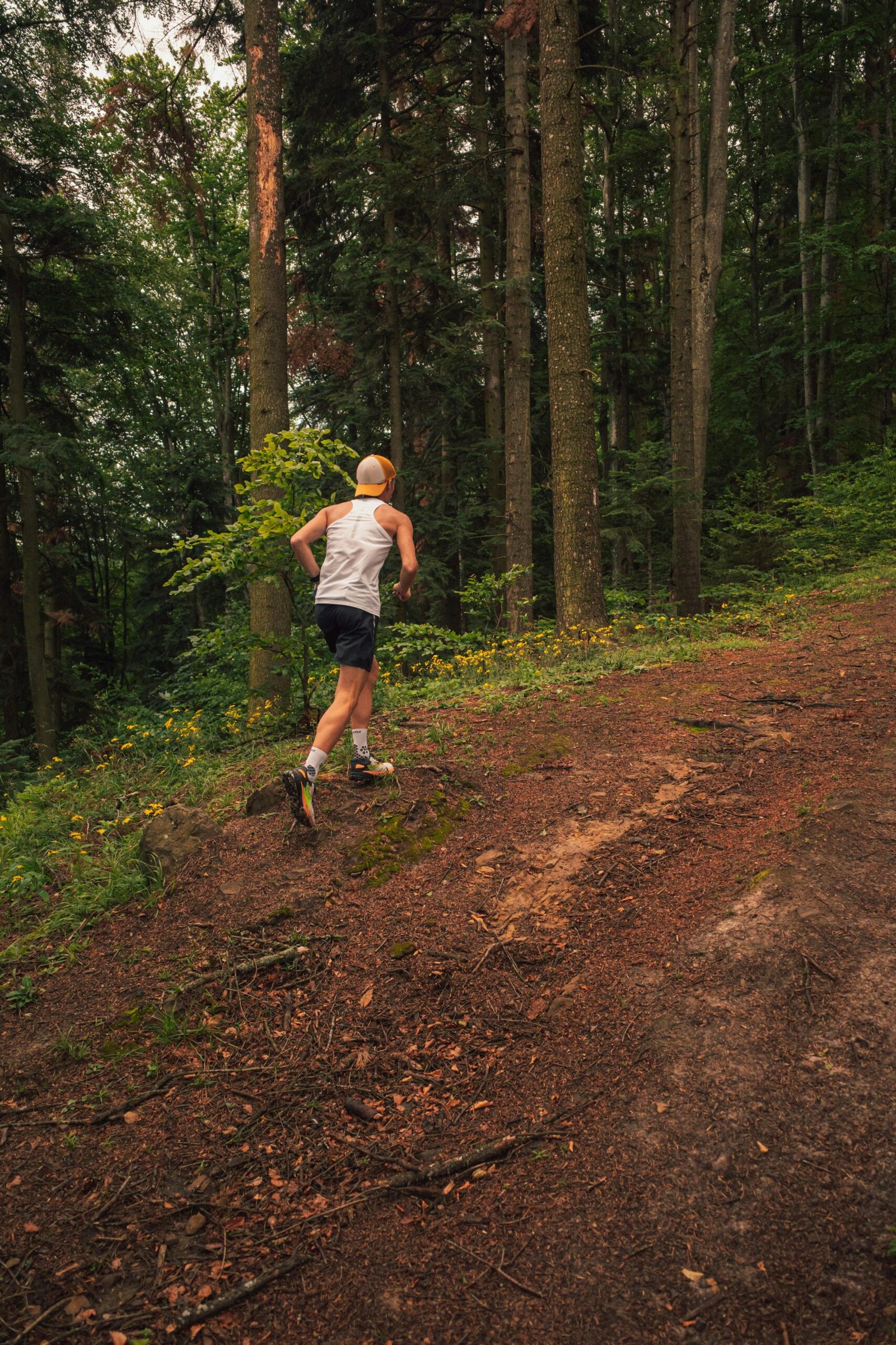 Course à pied en sentier et trail à La Réunion pour illustrer la prise en charge chiropratique du coureur.