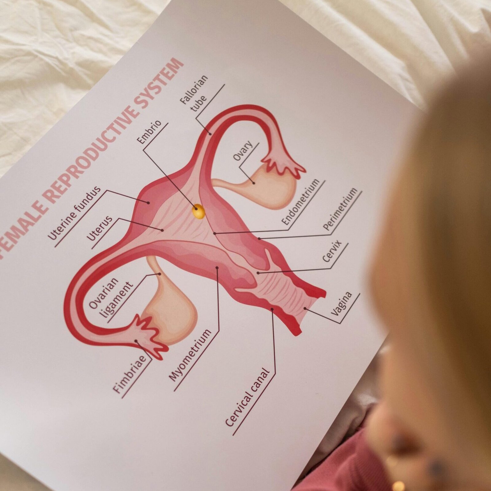Conseils chiropratiques pour la santé féminine, les cycles et l'accompagnement de la grossesse.