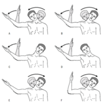 Exercices de neuro-flossing et d'étirements du poignet à faire à la maison pour soulager le nerf médian.