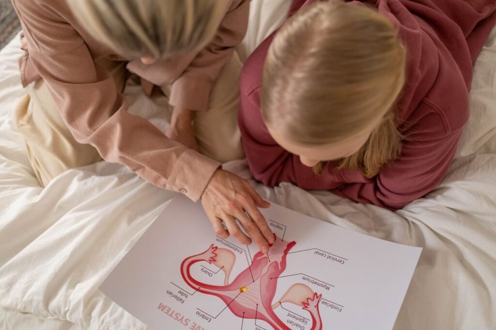 Chiropracteur expliquant l'anatomie de l'utérus et les connexions lombo-pelviennes à une patiente
